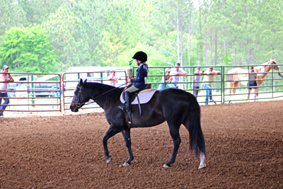 Picture from Catoosa County Saddle Club show