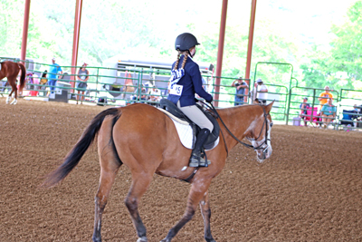 Picture from Catoosa County Saddle Club show