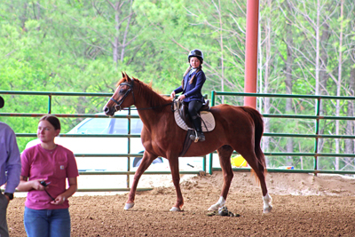 Picture from Catoosa County Saddle Club show