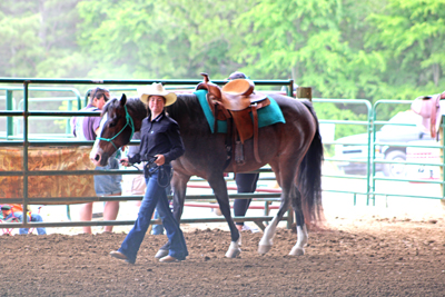 Picture from Catoosa County Saddle Club show