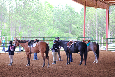 Picture from Catoosa County Saddle Club show