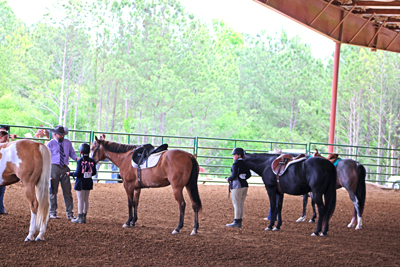 Picture from Catoosa County Saddle Club show