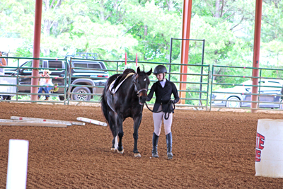 Picture from Catoosa County Saddle Club show