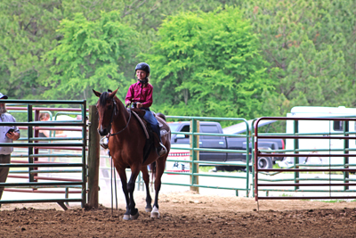 Picture from Catoosa County Saddle Club show