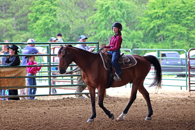 Picture from Catoosa County Saddle Club show