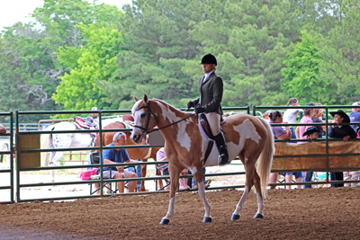 Picture from Catoosa County Saddle Club show