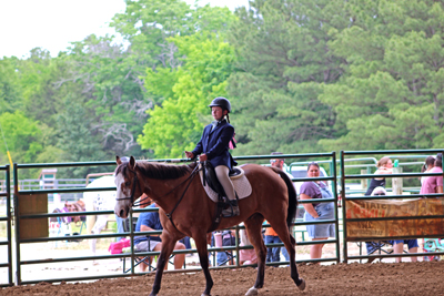 Picture from Catoosa County Saddle Club show