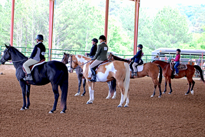 Picture from Catoosa County Saddle Club show