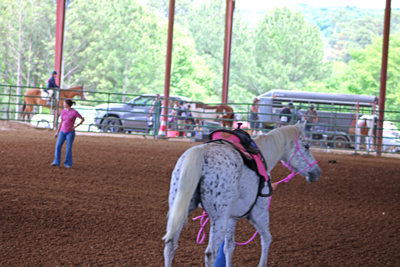 Picture from Catoosa County Saddle Club show