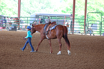Picture from Catoosa County Saddle Club show