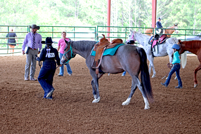 Picture from Catoosa County Saddle Club show