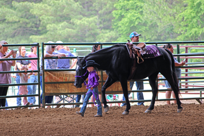 Picture from Catoosa County Saddle Club show
