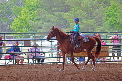 Picture from Catoosa County Saddle Club show