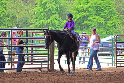 Picture from Catoosa County Saddle Club show