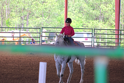 Picture from Catoosa County Saddle Club show