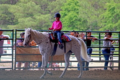 Picture from Catoosa County Saddle Club show
