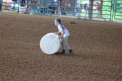 Picture from Catoosa County Saddle Club show