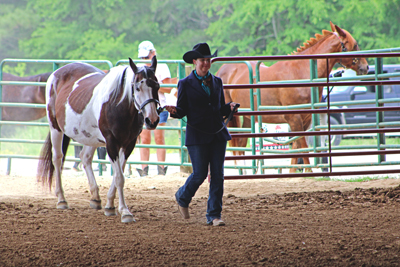 Picture from Catoosa County Saddle Club show