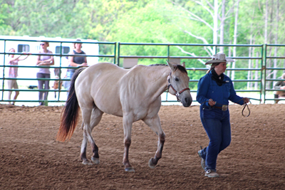 Picture from Catoosa County Saddle Club show