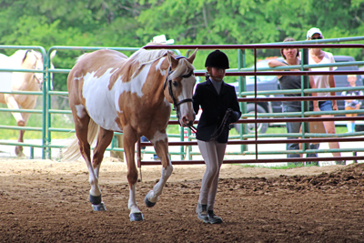 Picture from Catoosa County Saddle Club show