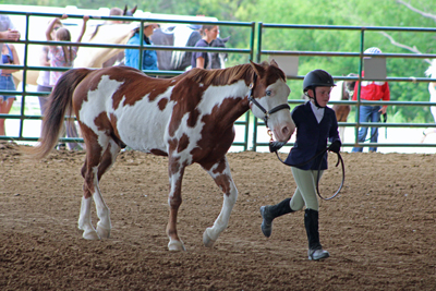 Picture from Catoosa County Saddle Club show