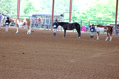 Picture from Catoosa County Saddle Club show