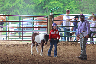 Picture from Catoosa County Saddle Club show