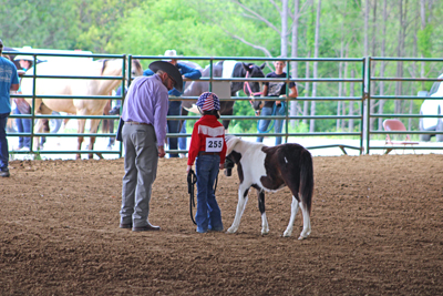 Picture from Catoosa County Saddle Club show