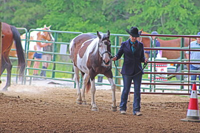 Picture from Catoosa County Saddle Club show