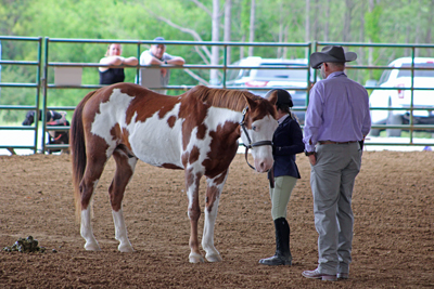 Picture from Catoosa County Saddle Club show