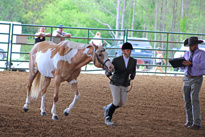 Picture from Catoosa County Saddle Club show