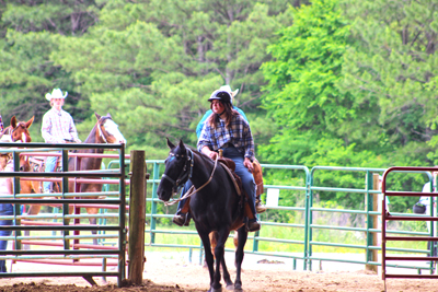 Picture from Catoosa County Saddle Club show