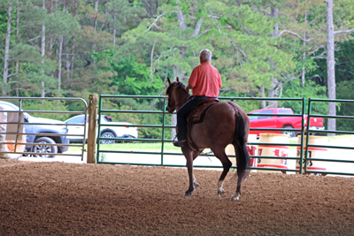Picture from Catoosa County Saddle Club show