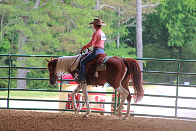 Picture from Catoosa County Saddle Club show