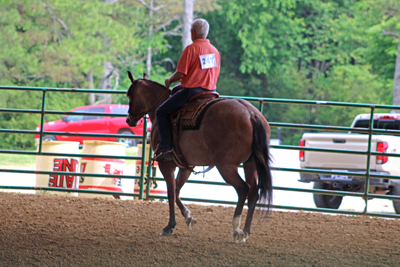 Picture from Catoosa County Saddle Club show