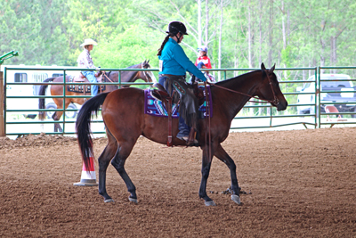 Picture from Catoosa County Saddle Club show