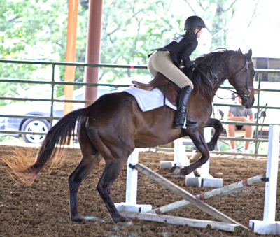 Picture from Catoosa County Saddle Club show