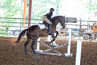 Picture from Catoosa County Saddle Club show