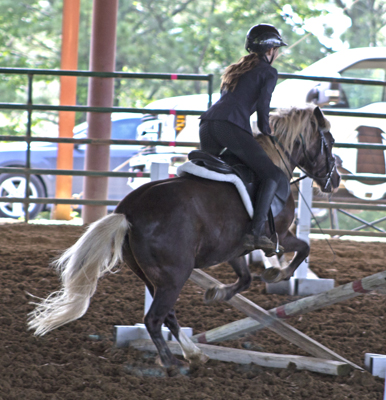 Picture from Catoosa County Saddle Club show