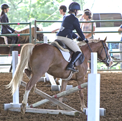Picture from Catoosa County Saddle Club show