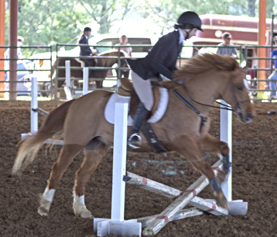 Picture from Catoosa County Saddle Club show