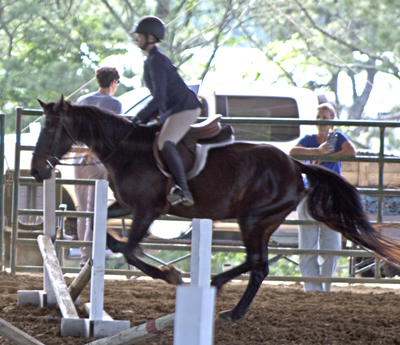 Picture from Catoosa County Saddle Club show