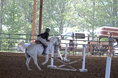 Picture from Catoosa County Saddle Club show