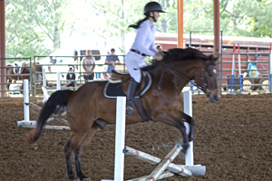 Picture from Catoosa County Saddle Club show
