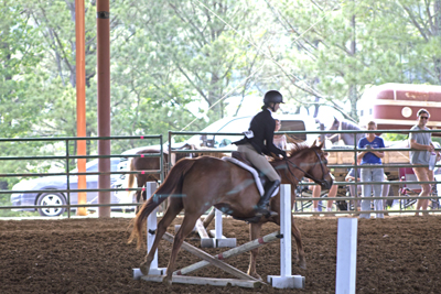 Picture from Catoosa County Saddle Club show