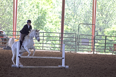 Picture from Catoosa County Saddle Club show