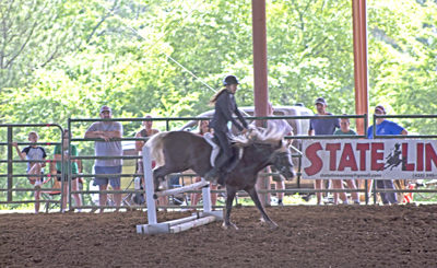 Picture from Catoosa County Saddle Club show