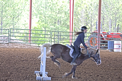 Picture from Catoosa County Saddle Club show
