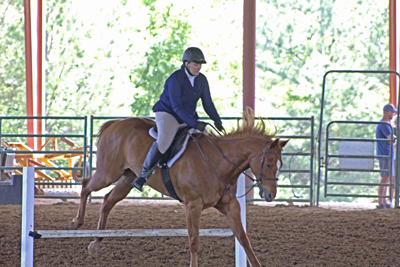 Picture from Catoosa County Saddle Club show