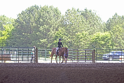 Picture from Catoosa County Saddle Club show